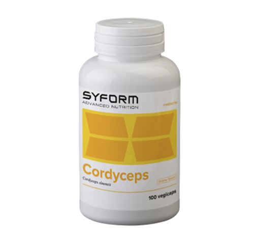Cordyceps Syform Syform Cordyceps