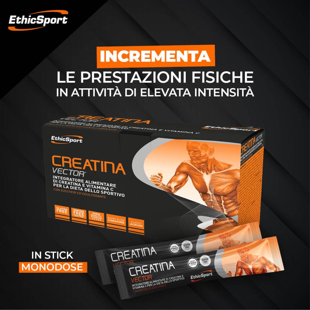 Creatina Vector