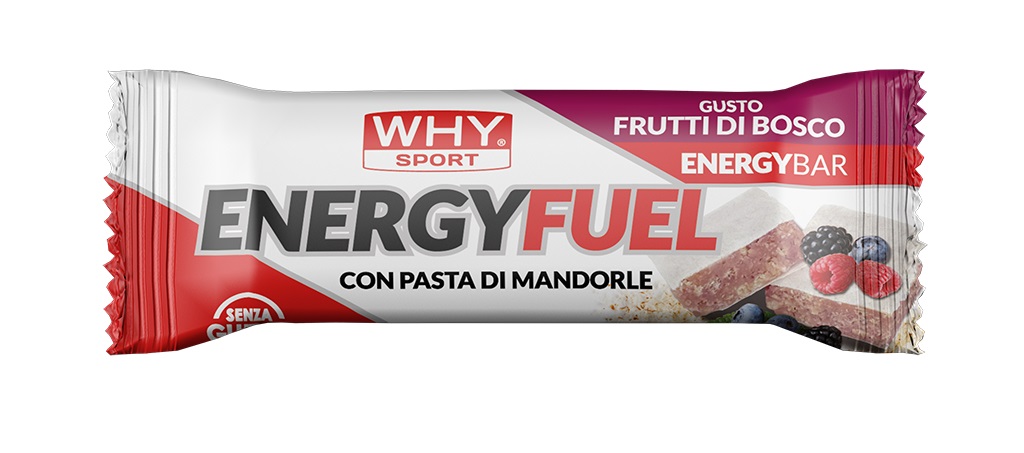 ENERGY FUEL Why Sport Why Sport ENERGY FUEL