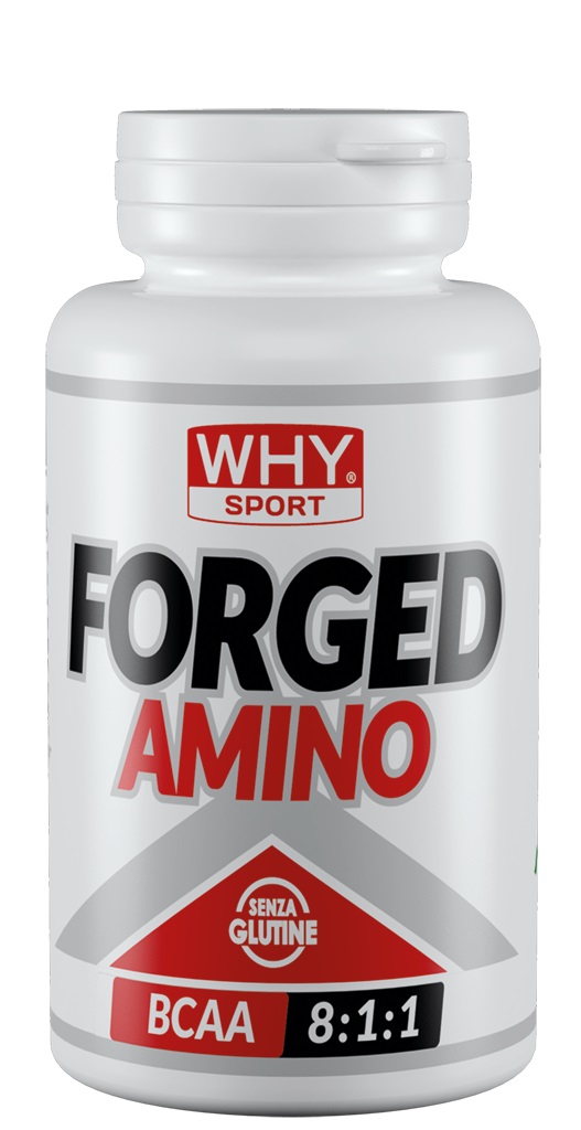 FORGED AMINO Why Sport Why Sport FORGED AMINO