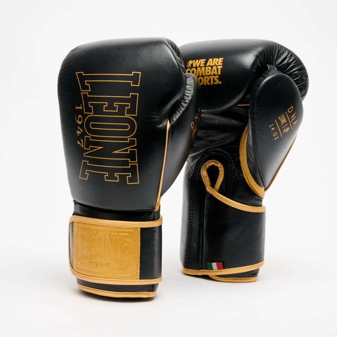 Leone GUANTONI DA BOX DNA PREMIUM GN002