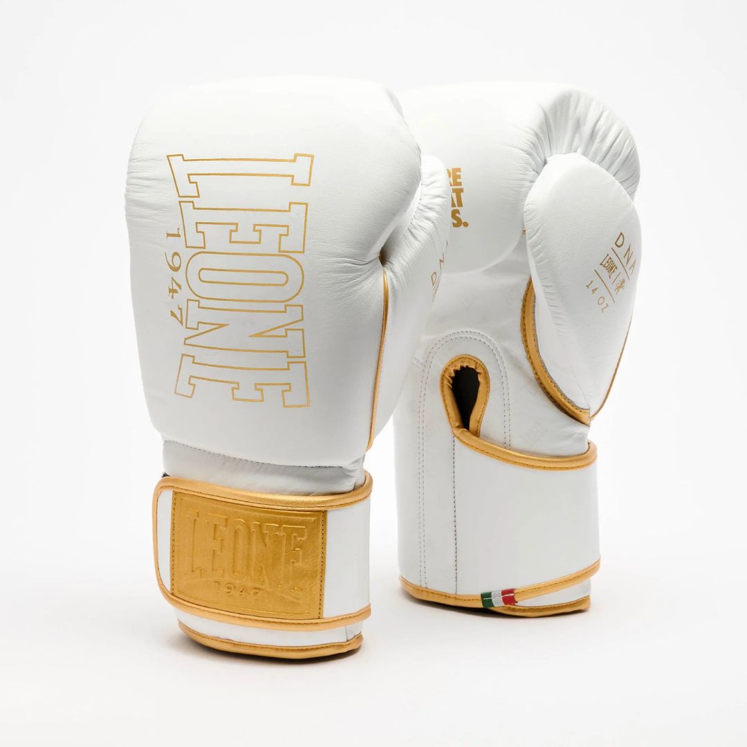 GUANTONI DA BOX DNA PREMIUM GN002