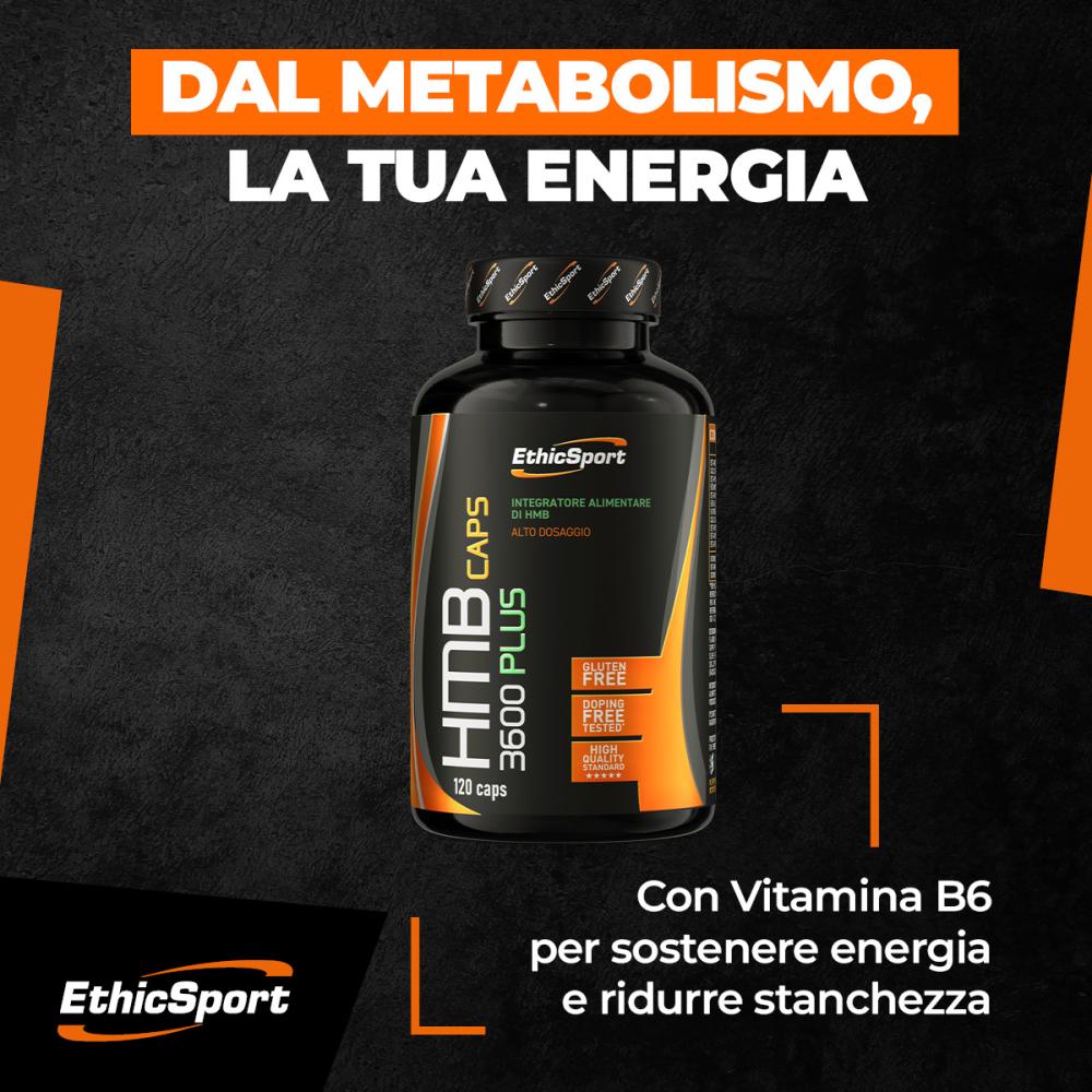 Immagine per HMB 3600 Plus HMB 3600 Plus