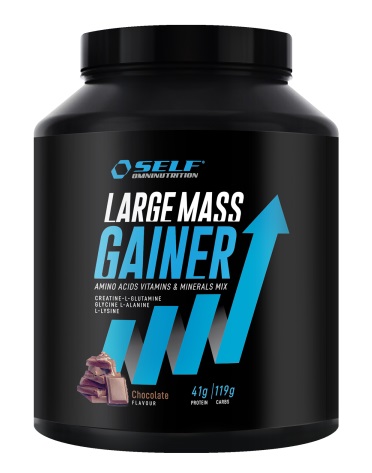 Self Omninutrition Large Mass Gainer