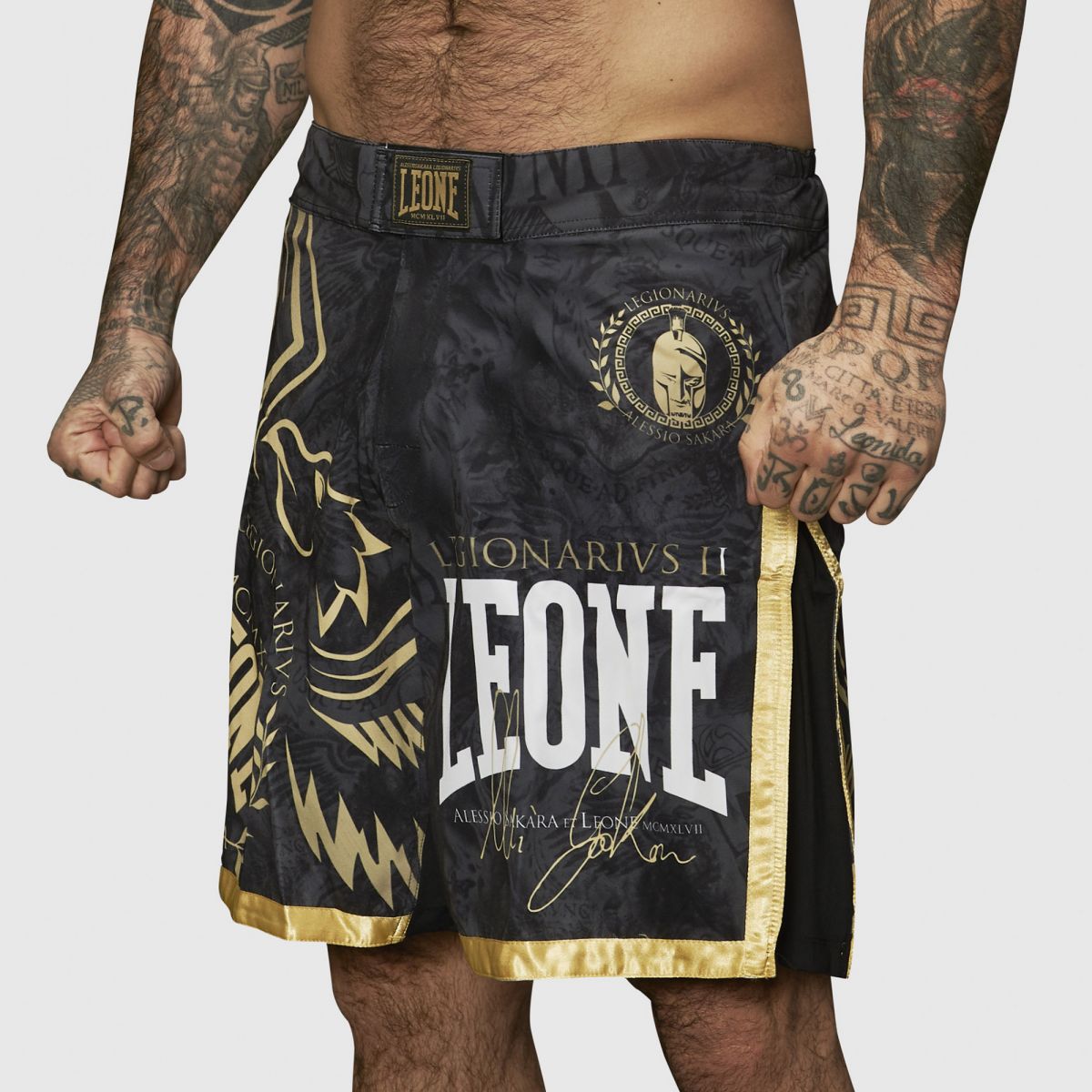 PANTA MMA LEGIONARIVS II AB790 Leone Leone PANTA MMA LEGIONARIVS II AB790