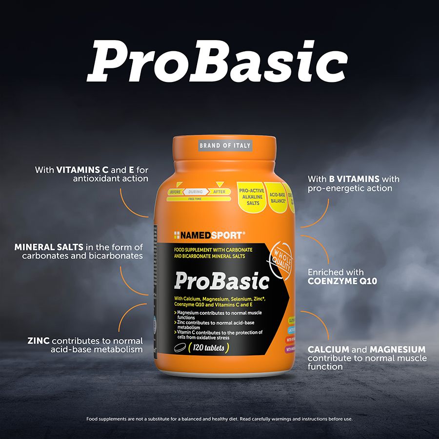 Pro Basic