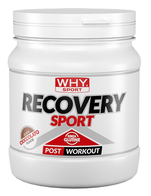 RECOVERY SPORT Why Sport Why Sport RECOVERY SPORT
