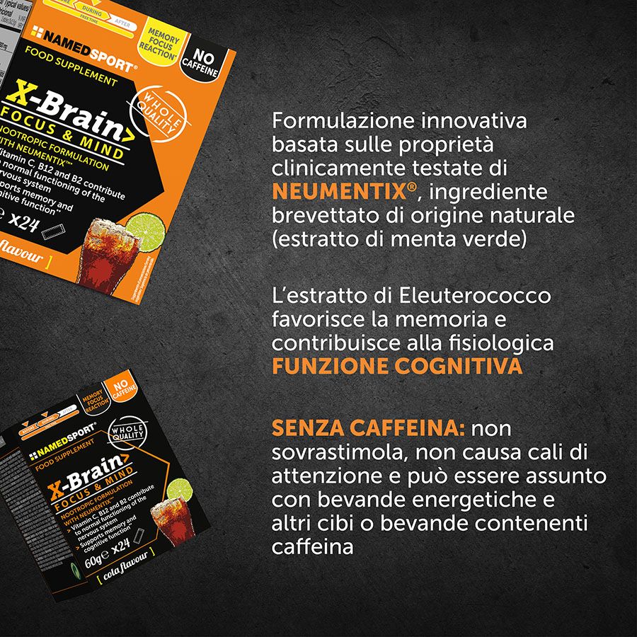 Immagine per X-BRAIN X-BRAIN