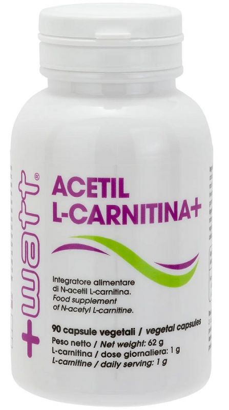 +Watt Acetil L-Carnitina+