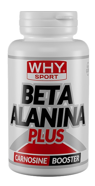 BETA ALANINA PLUS Why Sport
