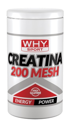 Why Sport CREATINA 200 MESH