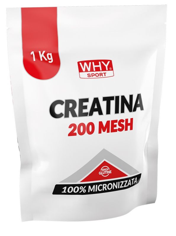 CREATINA 200 MESH Why Sport