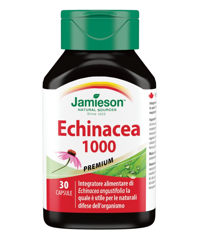 Jamieson Echinacea 1000