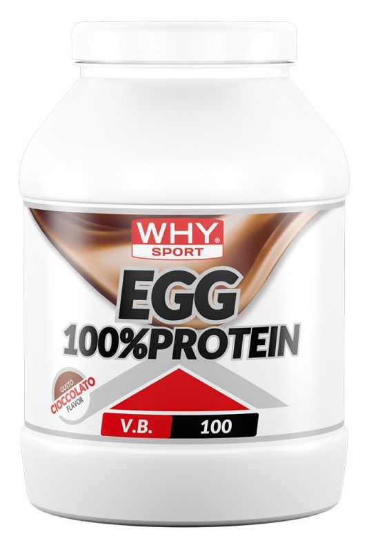 Why Sport Egg 100% Protein