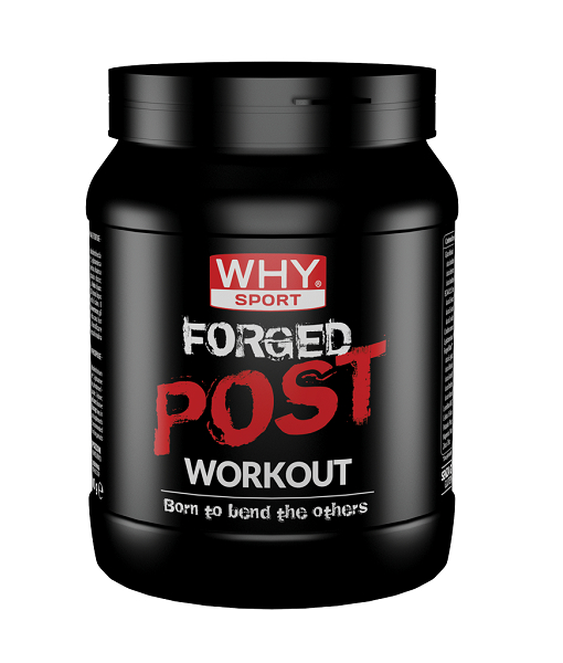 Why Sport Forged Post Workout