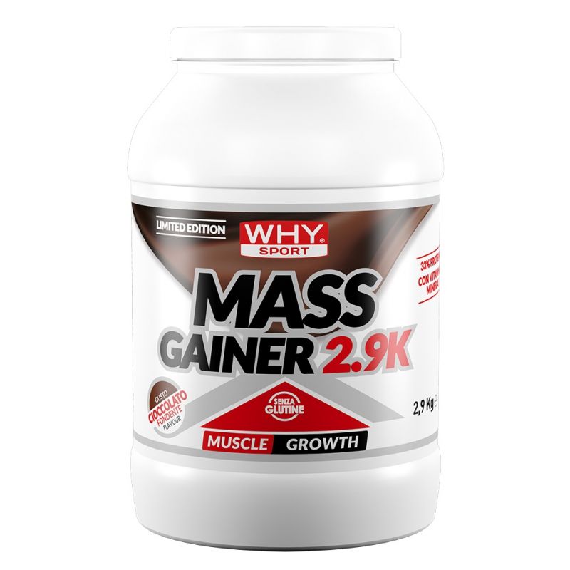 Why Sport MASS GAINER 2.9K LIMITED EDITION