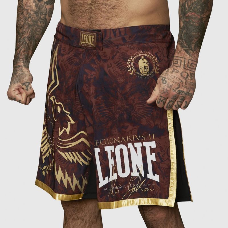 PANTA MMA LEGIONARIVS II AB790 Leone