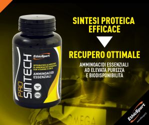 Immagine per Pro Sintech