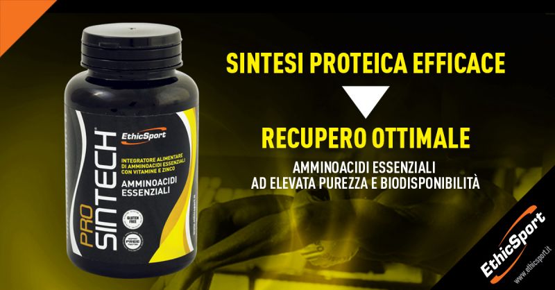 Pro Sintech Ethic Sport
