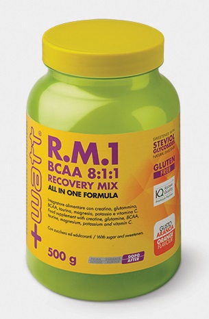 R.M.1 BCAA 8:1:1 Recovery Mix +Watt