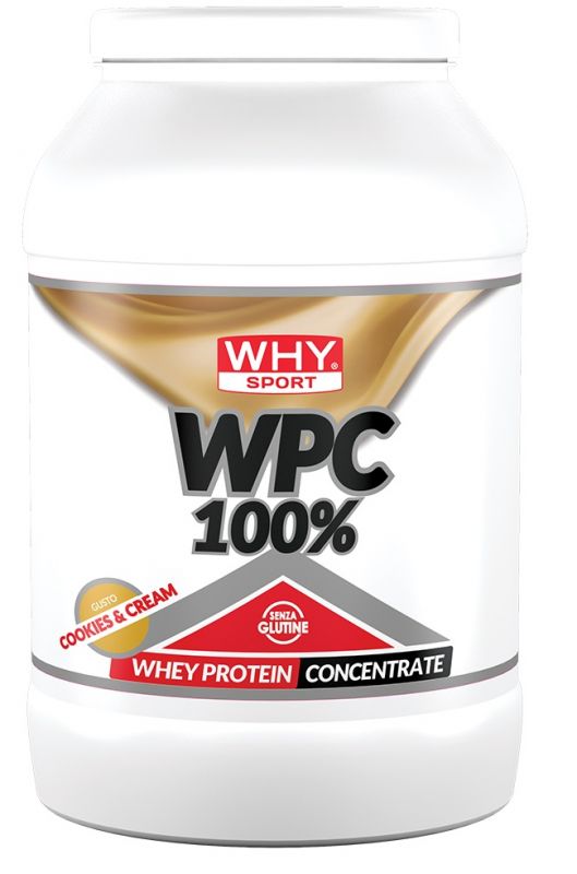 WPC 100% WHEY Why Sport
