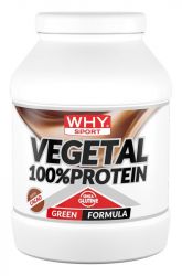 100% Vegetal Protein Why Sport