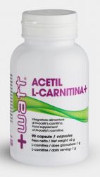 Acetil L-Carnitina+ +Watt