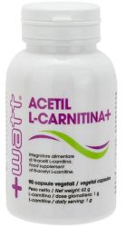 Acetil L-Carnitina+ +Watt