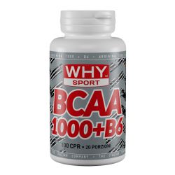 BCAA 1000+B6 Why Sport