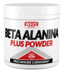 Why Sport BETA ALANINA PLUS POWDER