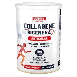 Why Sport Collagene Rigenera - Articolar