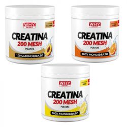 Why Sport Creatina 200 Mesh aromatizzata