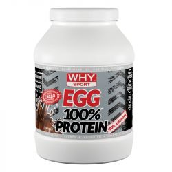 Egg 100% Protein Why Sport