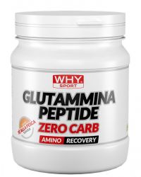 Glutammina Peptide Zero Carb Why Sport