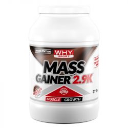 MASS GAINER 2.9K LIMITED EDITION Why Sport