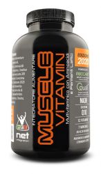 MUSCLE VITAMIN 2020 Net