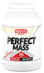 Why Sport Perfect Mass
