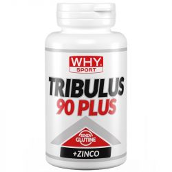 Tribulus 90 Plus Why Sport