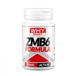 ZMB 6 FORMULA Why Sport