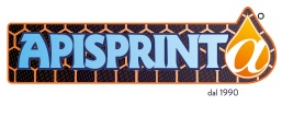 logo APISPRINT
